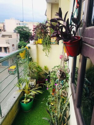 Balcony in 1 RK Independent House at Sector 14 – for Rent