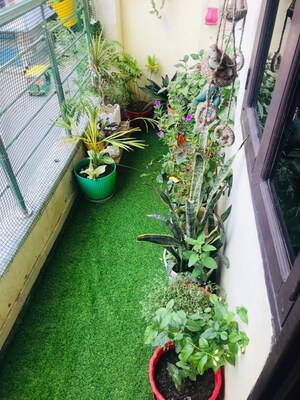 Balcony in 1 RK Independent House at Sector 14 – for Rent