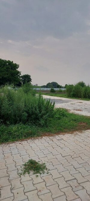 Plot Area in  Plot at Vinayak Nagar – for Sale