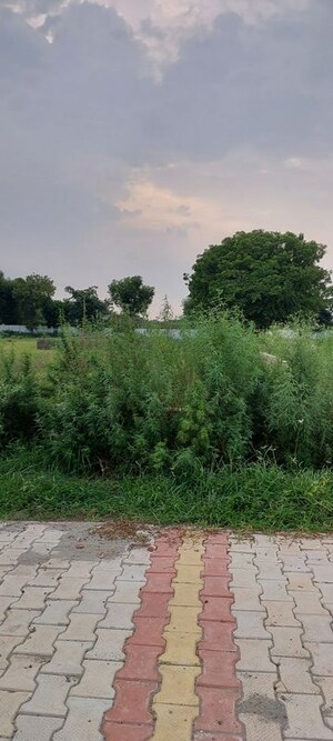 Plot Area in  Plot at Vinayak Nagar – for Sale