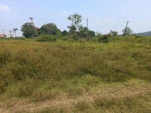  Plot For Sale in Virajpet