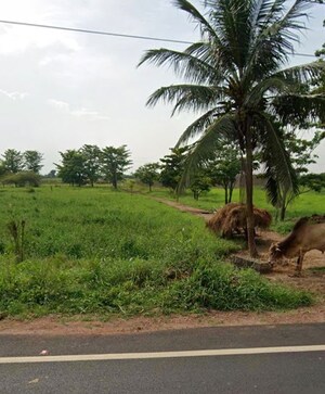  Plot For Sale in Undavalli