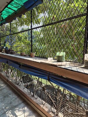 Balcony in 2 BHK Builder Floor at Mehrauli – for Sale