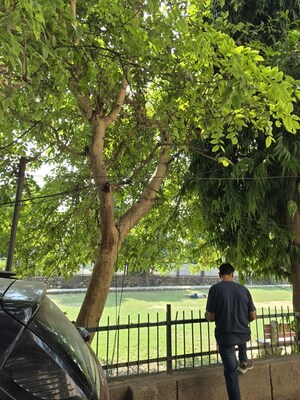 Balcony in 2 BHK Builder Floor at Mehrauli – for Sale