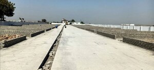  Plot For Sale in Wagholi