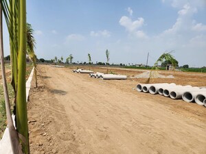 Plot Area in  Plot at Dankaur – for Sale