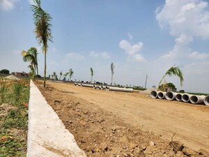 Plot Area in  Plot at Dankaur – for Sale
