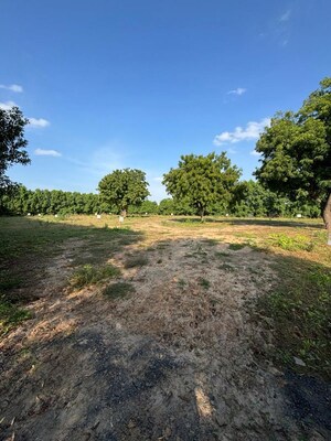 Plot Area in  Plot at Science City – for Sale
