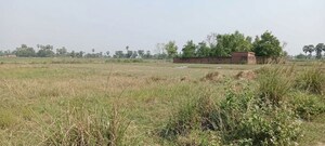  Plot For Sale in Chirora