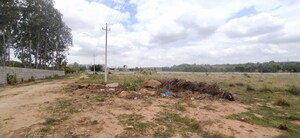 Land For Sale in Razack Palya
