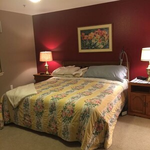 Bedroom in 1 BHK Apartment at Idpl Colony – for Sale