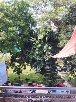 1 RK Independent House – Garden View at Lal Quarters, Lohia Nagar - for Rent