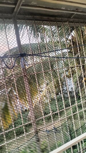 3 BHK Apartment – Garden View at Goel Ganga Millennia, Undri - for Rent