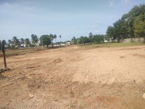Plot Area in  Land at Muthalipalayampiruvu – for Rent