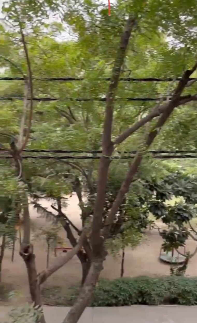 Garden, ramprastha greens 5 Bedroom 3600 Sq.Ft. Builder Floor In Ramprastha Greens Ghaziabad 10771704