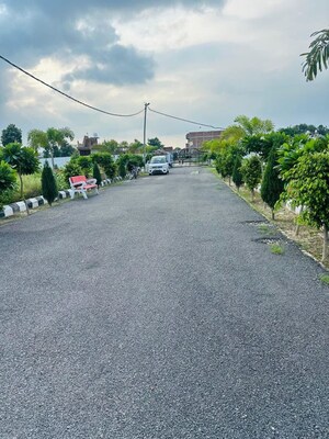  Plot – Garden View at Junab Ganj - for Sale