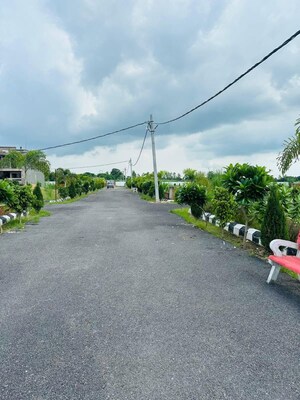 Plot Area in  Plot at Junab Ganj – for Sale