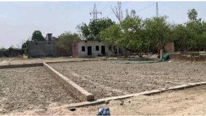  Land For Sale in Andawa