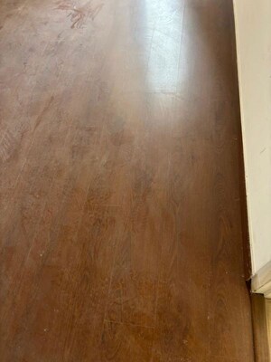 Room in 3 BHK Apartment at Mapsko Mount Ville, Sector 79 – for Rent