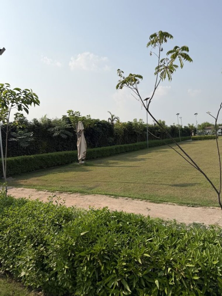 Garden, ved-express-city  1000 Sq.Ft. Plot In Sikandarpur Village Noida 10772171