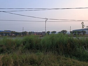 Plot Area in  Land at Kanke – for Sale