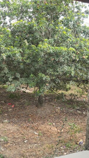 Plot Area in  Land at Doddakammanahalli – for Sale