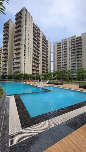 3.5 BHK Apartment For Rent in Silverglades The Melia, Sohna Sector 35