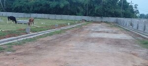 Plot Area in  Plot at Korukonda – for Sale