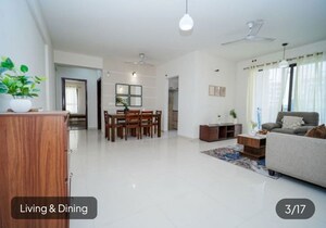 3 BHK Apartment For Sale in Tulip Orange, Sector 70