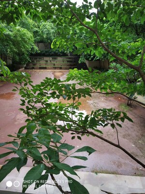 2 BHK Apartment – Exterior View View at Kalpataru Hills, Manpada - for Rent