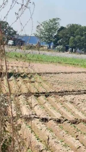  Land For Sale in Sunny Enclave