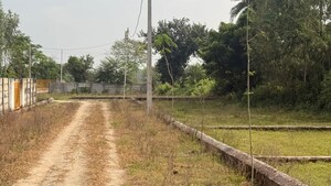 Plot Area in  Plot at Asti – for Sale