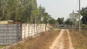 Plot Area in  Plot at Asti – for Sale