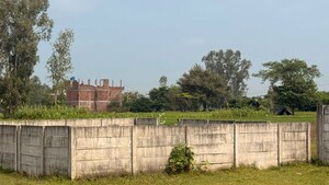 Plot Area in  Plot at Asti – for Sale