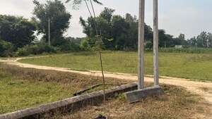 Plot Area in  Plot at Asti – for Sale