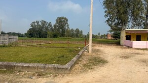 Plot Area in  Plot at Asti – for Sale