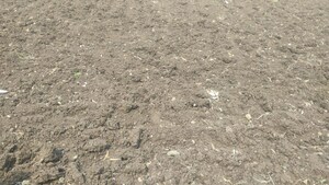 Plot Area in  Plot at Peace Valley, Mhow – for Sale