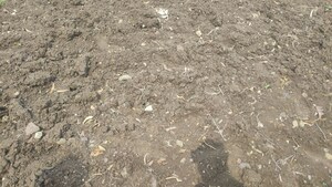 Plot Area in  Land at Gyansheela Super City, Mhow – for Sale