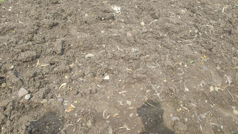 undefined, gyansheela-super-city Commercial Land 17000 Sq.Ft. In Mhow Indore 10774832