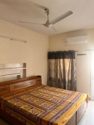 Bedroom in 1 BHK Independent House at Sector 10 – for Rent