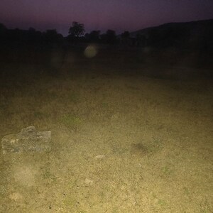 Plot Area in  Plot at Kalwar – for Sale