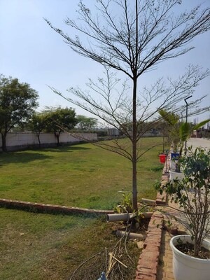  Plot – Garden View at ROF Normanton Park, Sohna Sector 36 - for Sale