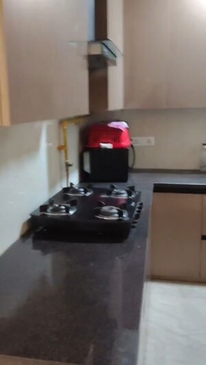 Kitchen in 2 BHK Builder Floor at Lajpat Nagar I – for Rent