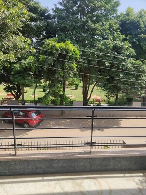 Balcony in 3 BHK Builder Floor at Sector 45 – for Rent