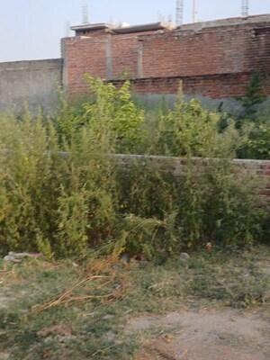  Plot For Sale in Dheeraj Nagar