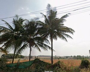  Land For Sale in Bettahalsoor