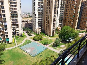3 BHK Apartment – Exterior View View at Unitech Escape, Sector 50 - for Rent