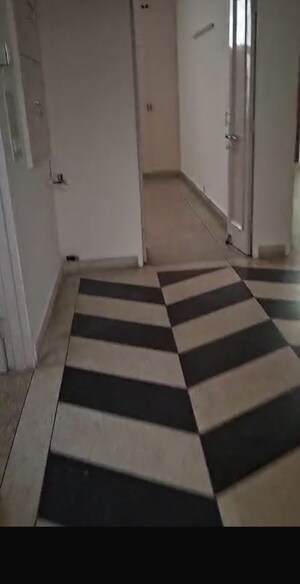 3 BHK Builder Floor For Rent in Greater Kailash