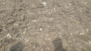 Plot Area in  Plot at Godrej Verdania Estate, Mangaliya Sadak – for Sale