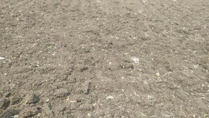 Plot Area in  Plot at Godrej Verdania Estate, Mangaliya Sadak – for Sale